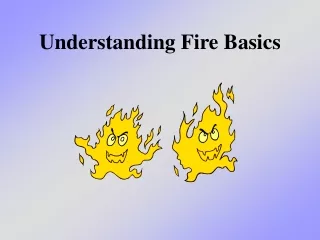 Understanding Fire Basics