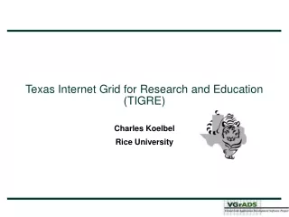 Texas Internet Grid for Research and Education (TIGRE)