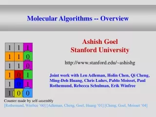 Molecular Algorithms -- Overview