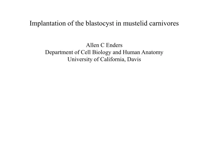 implantation of the blastocyst in mustelid