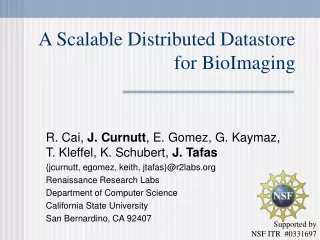 A Scalable Distributed Datastore for BioImaging