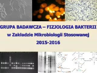 GRUPA BADAWCZA – FIZJOLOGIA BAKTERII w Zakładzie Mikrobiologii Stosowanej 2015-2016