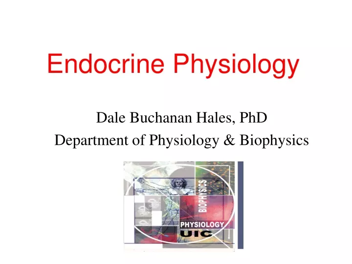 endocrine physiology