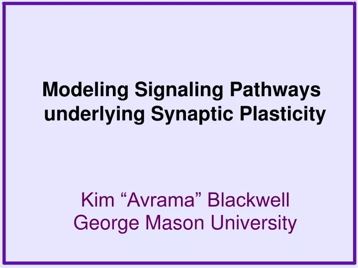 modeling signaling pathways underlying synaptic