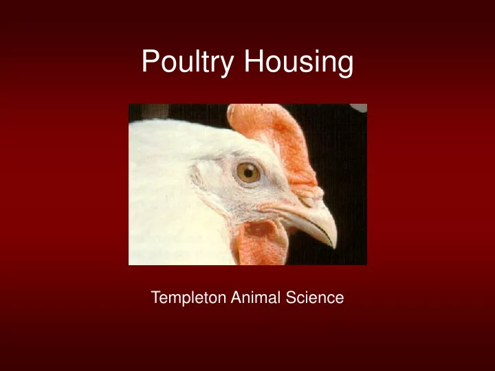 poultry housing