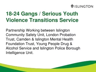 18-24 Gangs / Serious Youth Violence Transitions Service