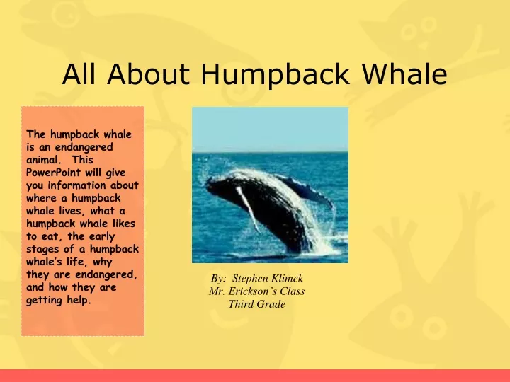 all about humpback whale