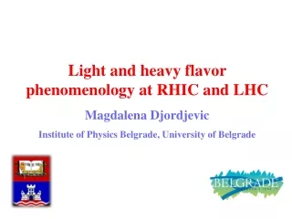 Light and heavy flavor phenomenology at RHIC and LHC Magdalena Djordjevic