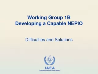 Working Group 1B Developing a Capable NEPIO
