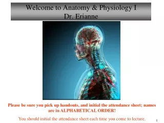Welcome to Anatomy &amp; Physiology I Dr. Erianne