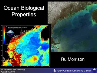 Ocean Biological Properties