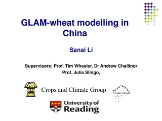 GLAM-wheat modelling in China