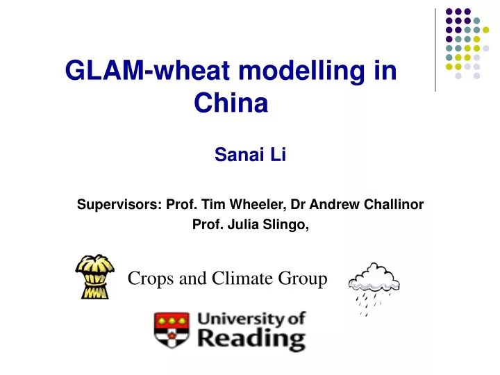 glam wheat modelling in china