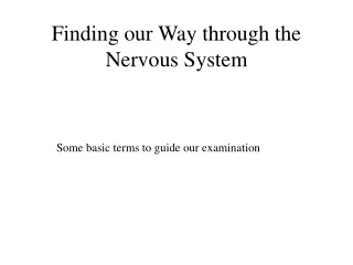 Finding our Way through the Nervous System