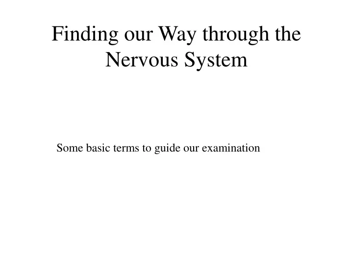finding our way through the nervous system