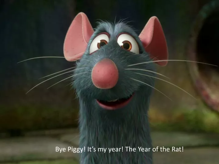 bye piggy it s my year the year of the rat