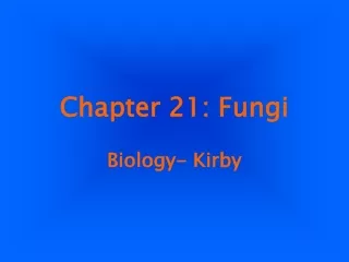 Chapter 21: Fungi