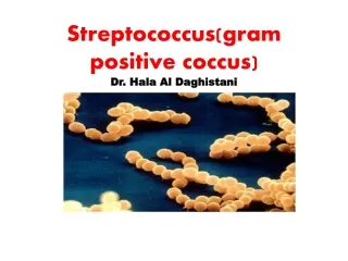Streptococcus(gram positive coccus) Dr. Hala Al Daghistani