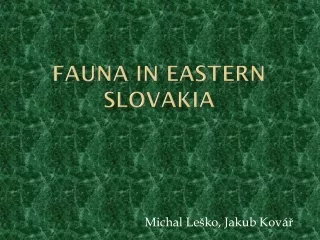 Fauna in  eastern  Slovakia