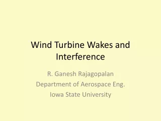 Wind Turbine Wakes and Interference