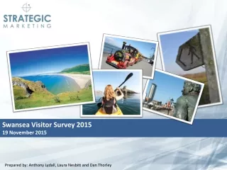 Swansea Visitor Survey 2015 19 November 2015