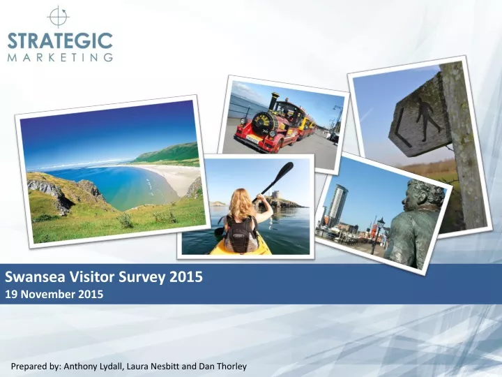 swansea visitor survey 2015 19 november 2015