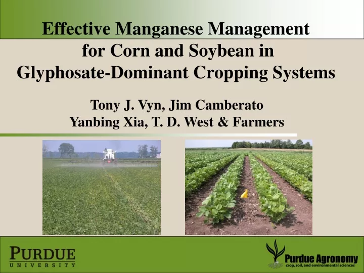 effective manganese management for corn and soybean in glyphosate dominant cropping systems