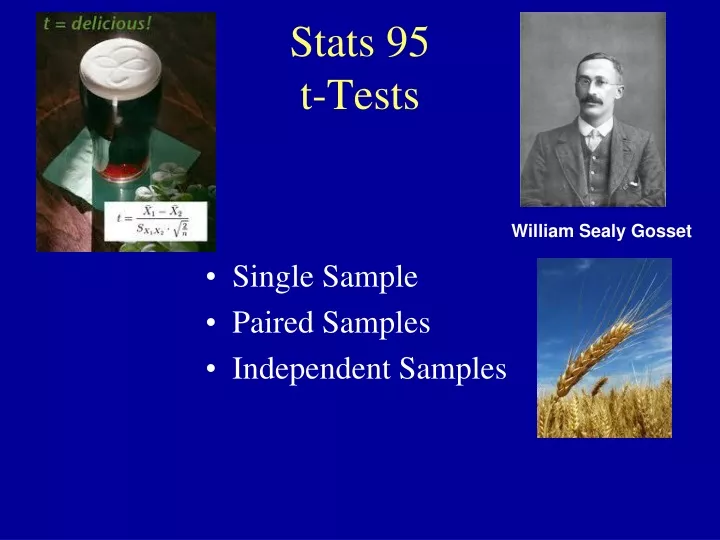 stats 95 t tests