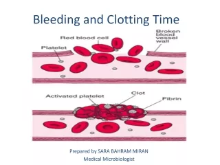 Bleeding and Clotting Time