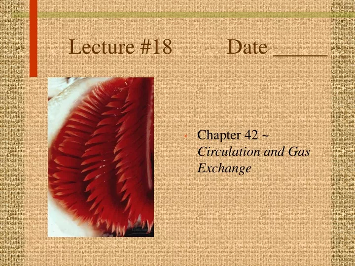 lecture 18 date