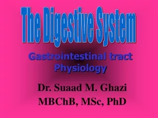 The Digestive System