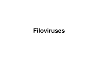 Filoviruses