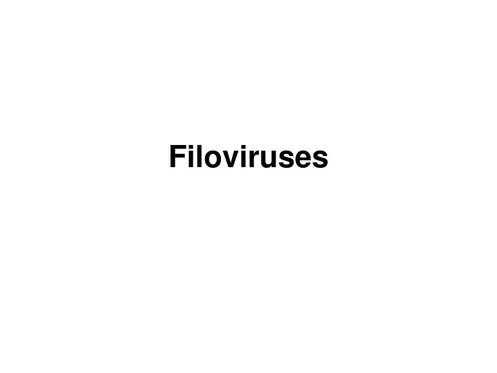 filoviruses