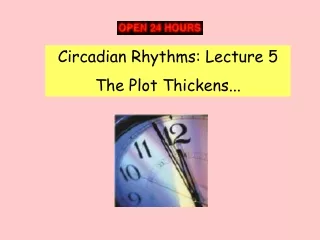 Circadian Rhythms: Lecture 5 The Plot Thickens...