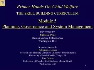 THE SKILL BUILDING CURRICULUM Module 5 Planning, Governance and System Management