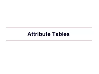 Attribute Tables
