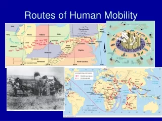 Routes of Human Mobility