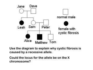 Use the diagram to explain why cystic fibrosis is caused by a recessive allele.