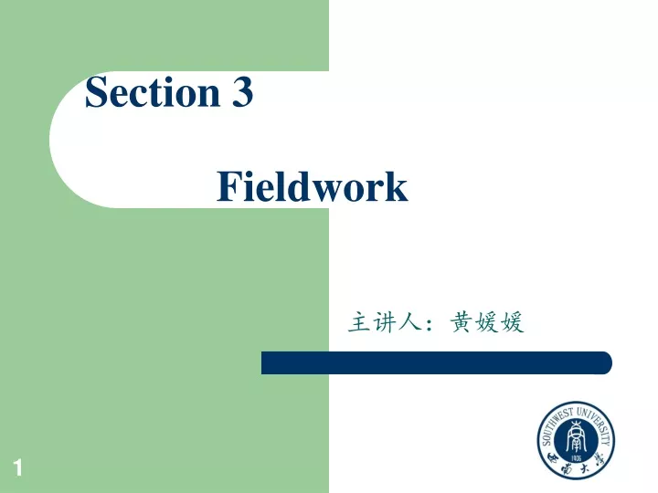 section 3 fieldwork