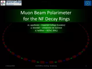 Muon Beam Polarimeter  for the NF Decay Rings