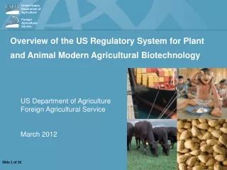 Overview of the US Regulatory System for  Plant and Animal Modern  Agricultural Biotechnology