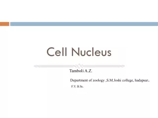 Cell Nucleus