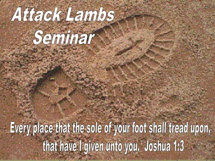attack lambs seminar