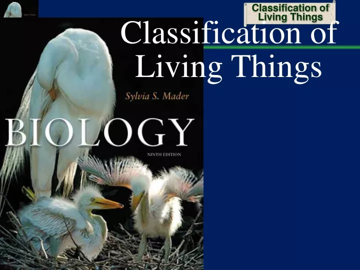 classification of living things