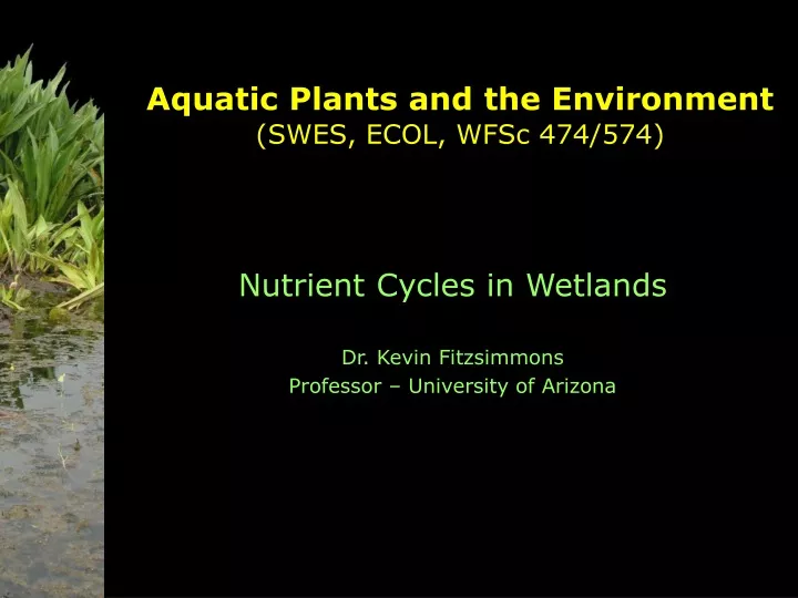 aquatic plants and the environment swes ecol wfsc 474 574