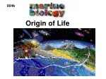 PPT - Origin of Life PowerPoint Presentation, free download - ID:5728284