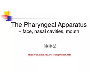 The Pharyngeal Apparatus  – face, nasal cavities, mouth
