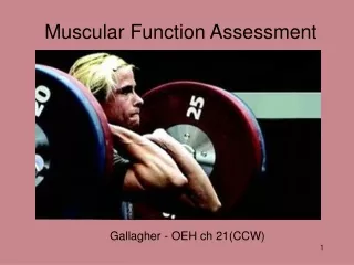 Muscular Function Assessment