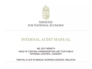 INTERNAL AUDIT MANUAL