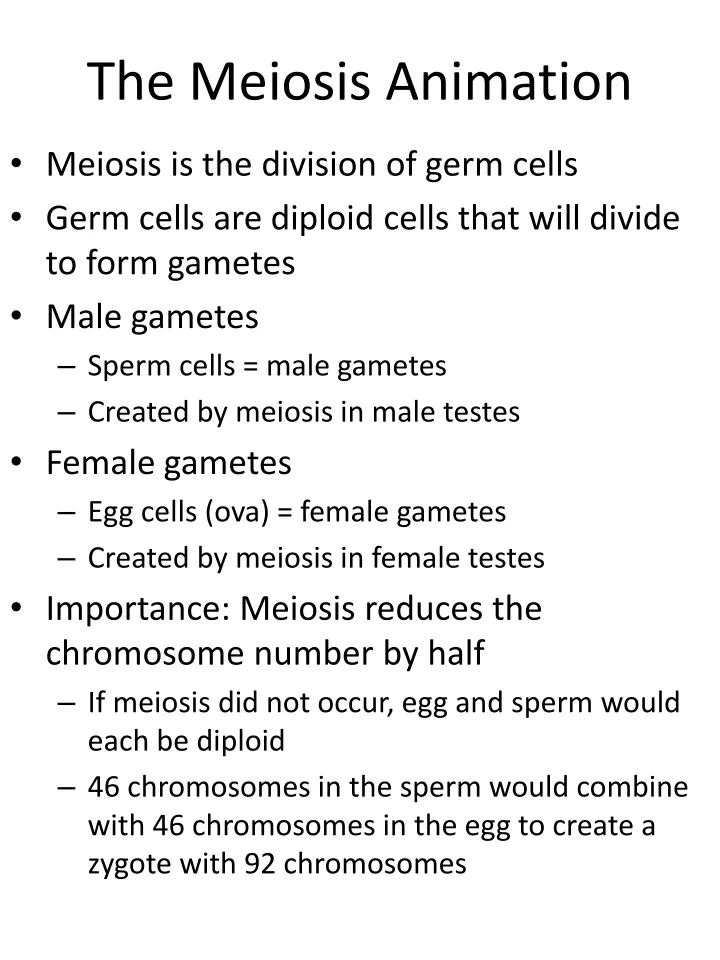 the meiosis animation
